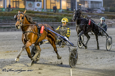Opdrætningsløbet: Menza vinder vel bare igen!