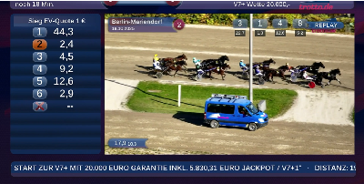 Her kan du følge Yin Yang og Reginald Dwight i eftermiddag