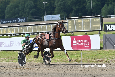 Tre heste skiftet fra Henrik Lønborg