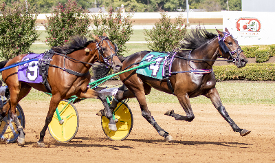 Red Mile: Danske Busy Miss Lissy nummer to i 1.09.7.