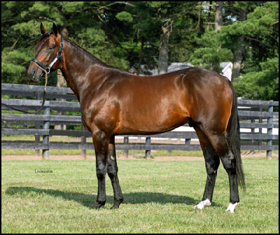 Masiol-stalden købte share I Tactical Approach