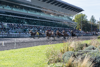 Vintermeeting – Vincennes: To danskejede heste til start