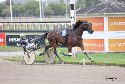Reginald Dwight og Yin Yang til start i tysk Breeders Crown-løb