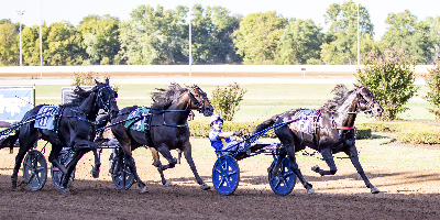 Canadisk sejr i Kentucky Futurity