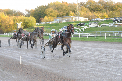 Hvad koster Even Steven?