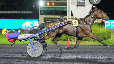 Kender du franske Je Te Cherche ?