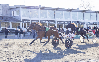 Er Kaley DC ikke Årets Hest?