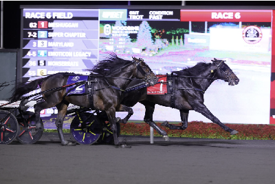 Breeders Crown: Så fik Greenshoe en storløbsvinder