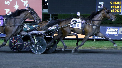 USA: Skandinaviske 2-åringer dominerede