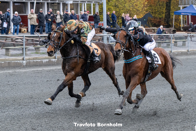 Montérytter fik udelukkelse for at lave sejrsgestus i opløbet