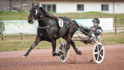 Fighter Simoni vandt i Bordeaux