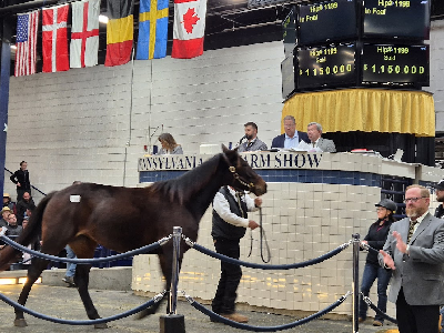 USA: Når venskab bliver til fjendskab