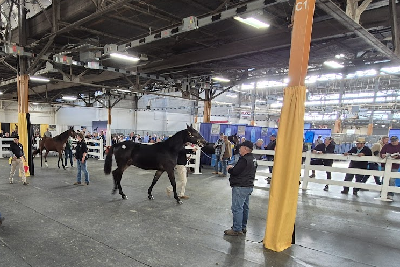 Harrisburg: Bedre end  frygtet