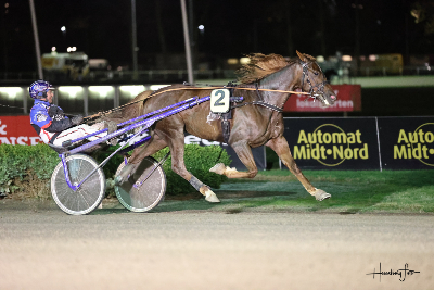 V65-Aalborg: Favoritomgang, men Bet25-spiller vandt 86.250 kr.