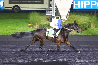 Team Juels Invisible Sun favorit på Vincennes