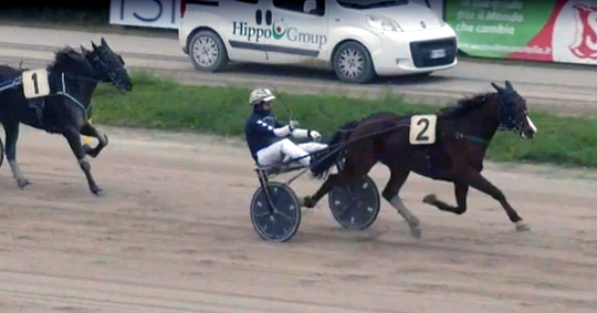 Dansk 4-åring vandt i Italien