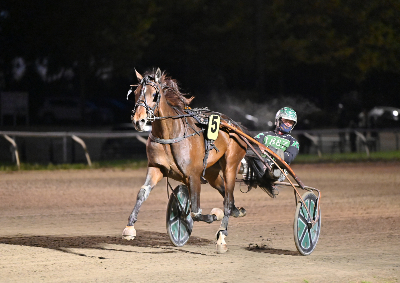 Aalborg lægger ud i november
