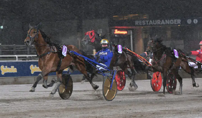 V86: Wise Guy kun nummer fire