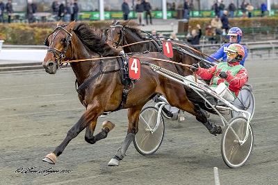 Falster: Sæsonfinale med årgangsmesterskaber