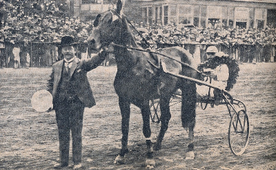 En mild fiasko for Opdrætningsløbet – for 100 år siden