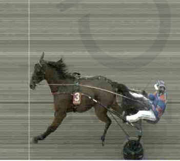 V75-vinder købt til Magnus Ladegaards stald