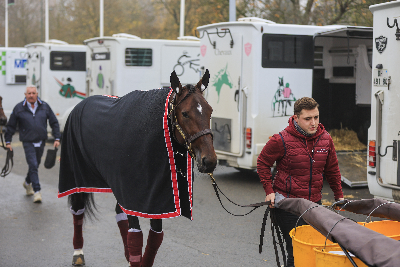 Ginostrabliggi imponerende på Vincennes