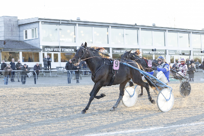 Spændende 2-åringer i Skive
