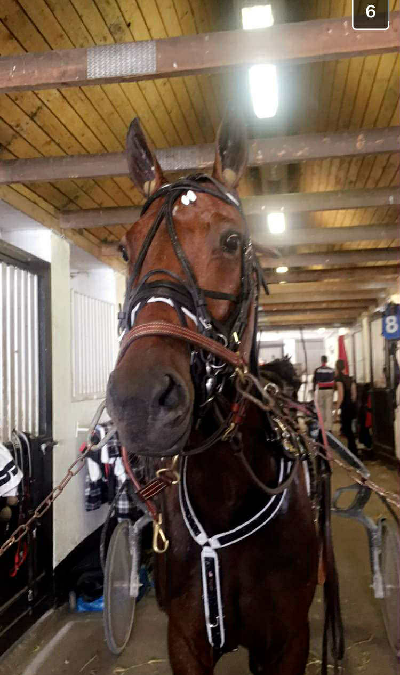 Annes alternative Julequiz 9. december