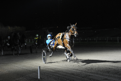 Aarhus: Lunch-trav med store favoritter