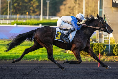 Vincennes: Vinder Invisible Sun igen?