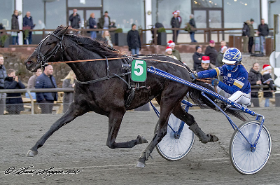 Det kan betale sig at spille på Kamilla Plambech