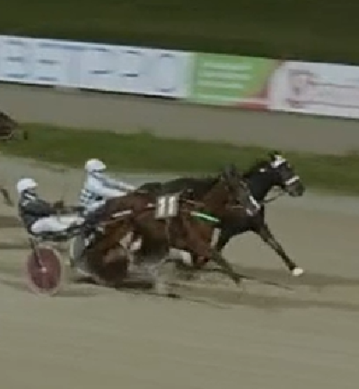 Ny sejr  til King Nobel i Italien