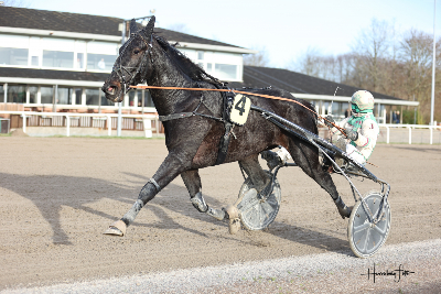 Skive: V85-hest udgår – har brækket benet