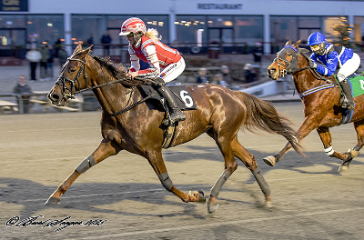 Montédronningerne slog til igen