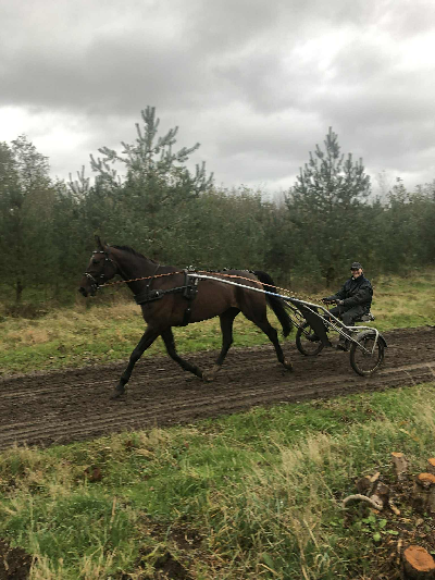 Annes alternative Julekalender 16. december