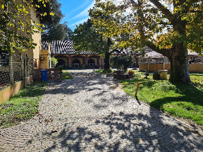 Endnu en danskejet hest til Erik Bondo