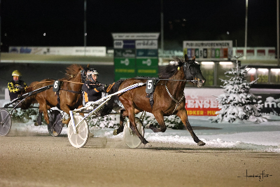 Aalborg – V65: Fangede du Greenday Tir?