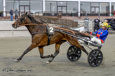 Jackson La Marc i fint selskab