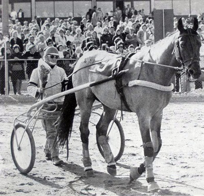 Fra Nano til Daniel Hazelaar