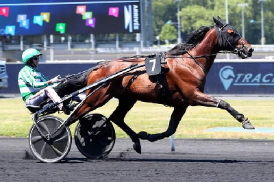 Jushua Tree kommer ikke til start i Prix d’Amerique