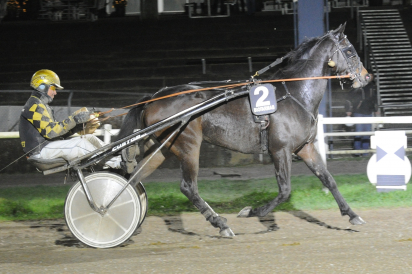 Er det købers marked på travauktioner.dk?