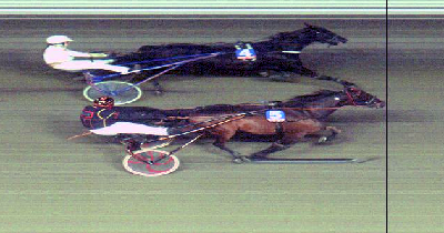 Danske vindere med fællestræk