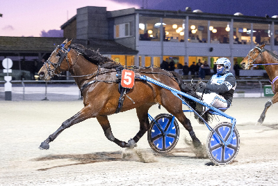 Husk Nytårsauktionen slutter klokken 20.00