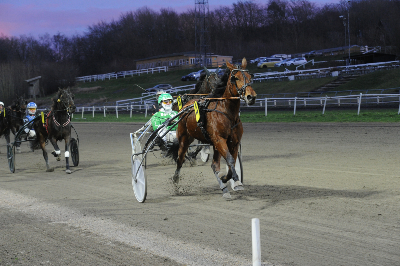 Ny  hest til Søren Demant Andersen