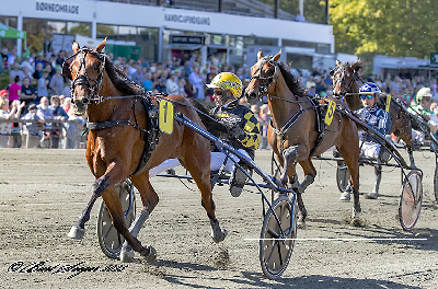 Dansk 3-åring til start på Vincennes