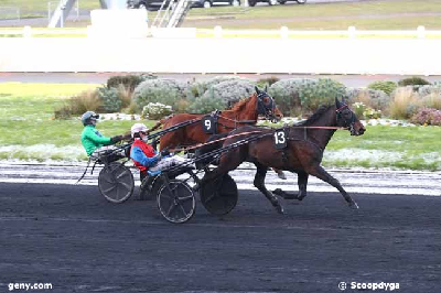 Vincennes: Nyt stjernefrø efter Ready Cash