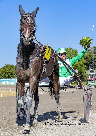 Ny hos Magnus Ladegaard