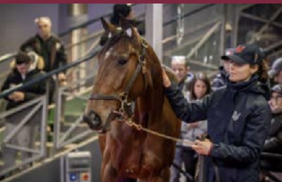 PDA-auktionen: Stemningen skiftede til rødt