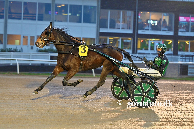 Nytårsauktionen: Seks ud af otte blev solgt
