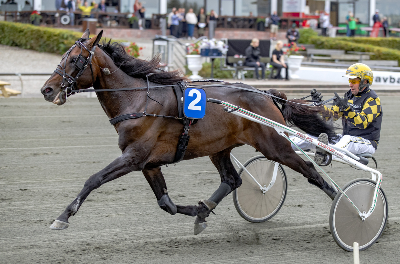 Defender Grif til start i Italien